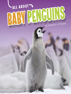 cover image of All About Baby Penguins
